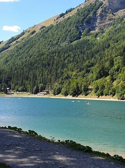 Apartment Coeur Portes Soleil, Chatel Studio 4P Jardin