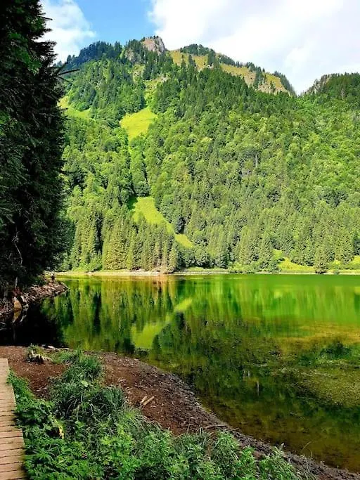 Coeur Portes Soleil, Chatel Studio 4P Jardin France