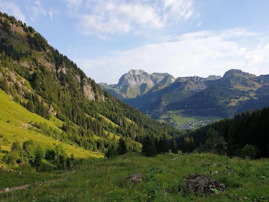 Apartment Coeur Portes Soleil, Chatel Studio 4P Jardin France