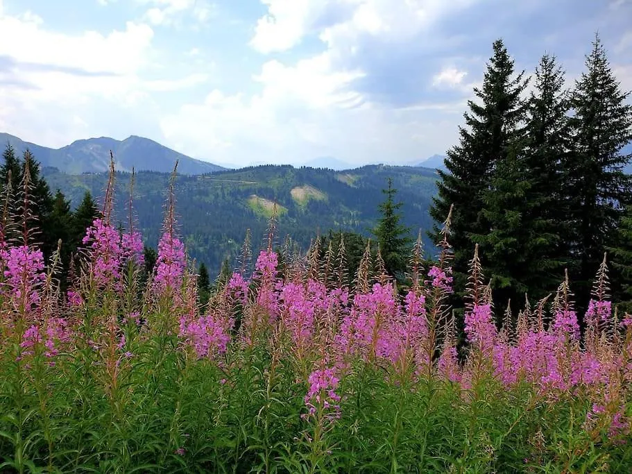 Coeur Portes Soleil, Chatel Studio 4P Jardin Apartment