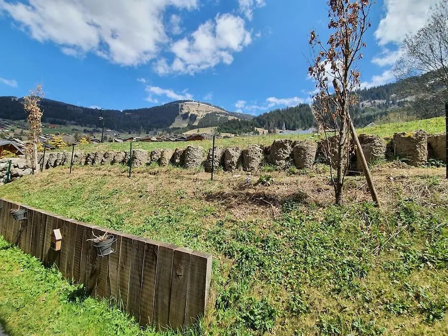Coeur Portes Soleil, Chatel Studio 4P Jardin