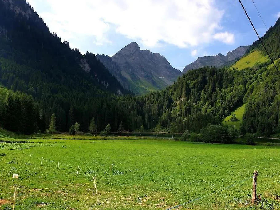 Apartment Coeur Portes Soleil, Chatel Studio 4P Jardin