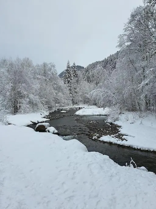 Coeur Portes Soleil, Chatel Studio 4P Jardin