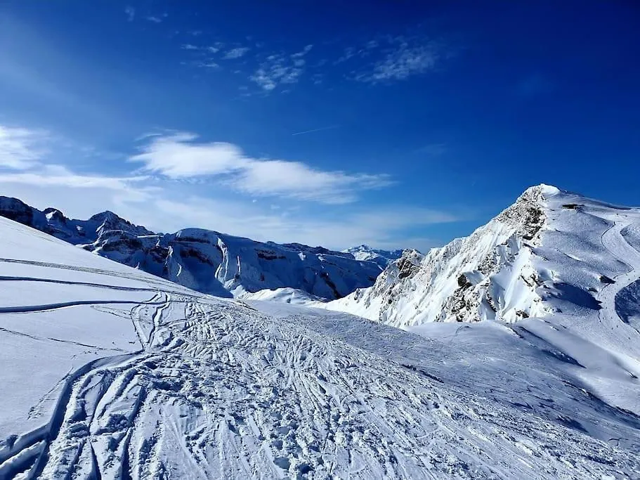 Coeur Portes Soleil, Chatel Studio 4P Jardin